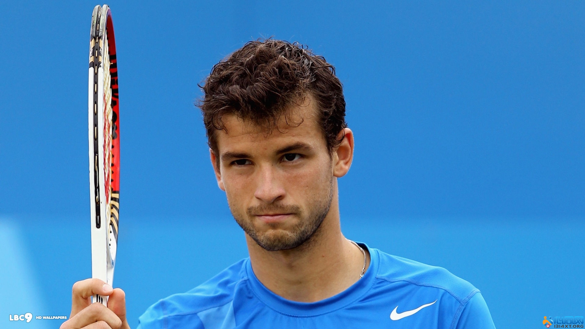 引擎偏好的 引擎偏好的